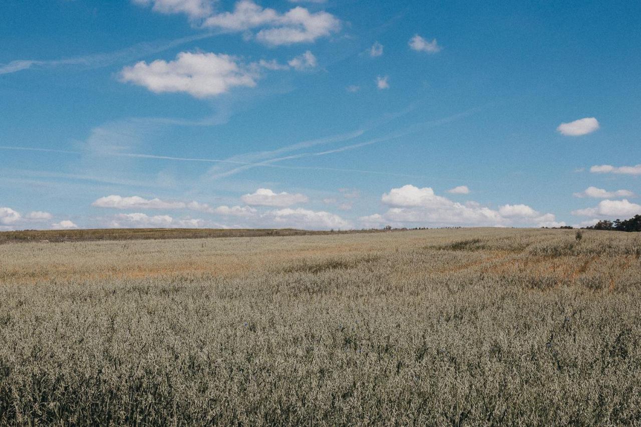 Agroturystyka Pod Debem Łagów Kültér fotó